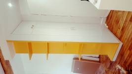 Alexandre TRAIN - PLATYPUS